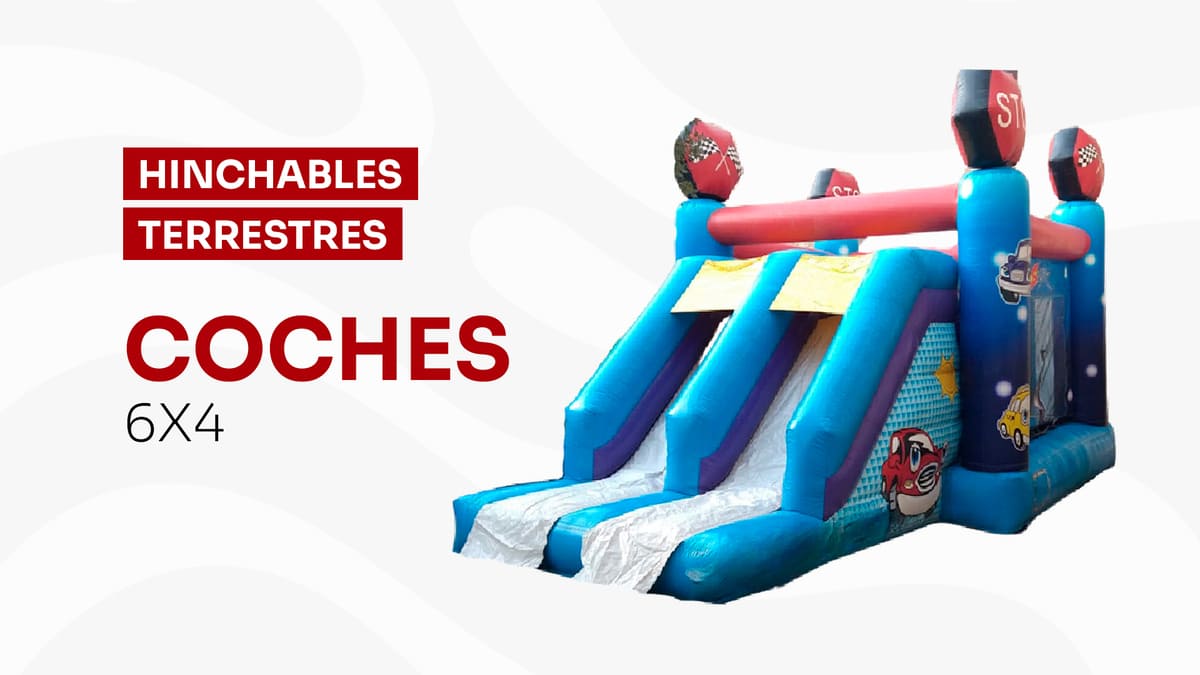 Terrestre_Coches_6x4